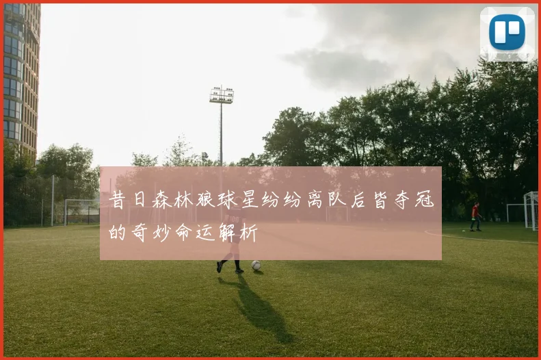 昔日森林狼球星纷纷离队后皆夺冠的奇妙命运解析