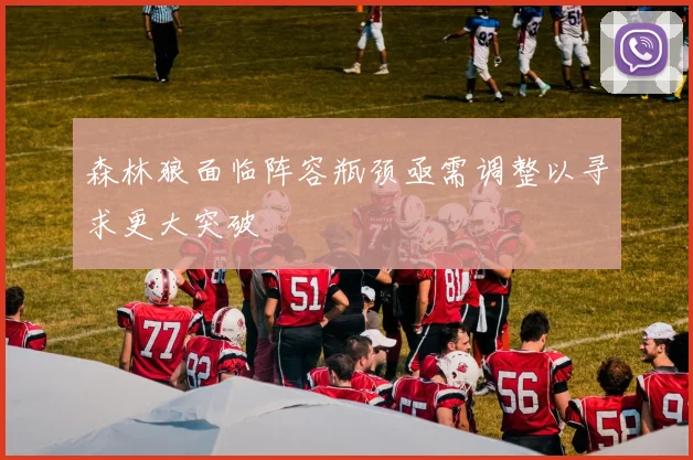 森林狼面临阵容瓶颈亟需调整以寻求更大突破